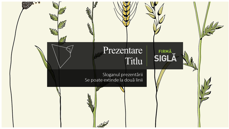 Scurtă prezentare Scurtă prezentare