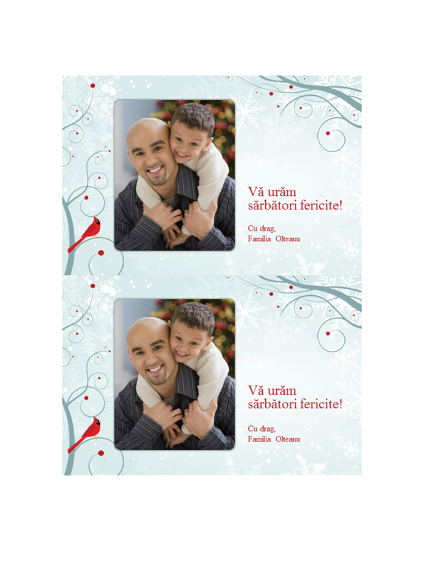 Felicitări de sărbători fotografice cu fulgi de nea (două pe pagină) Felicitări de sărbători fotografice cu fulgi de nea (două pe pagină)
