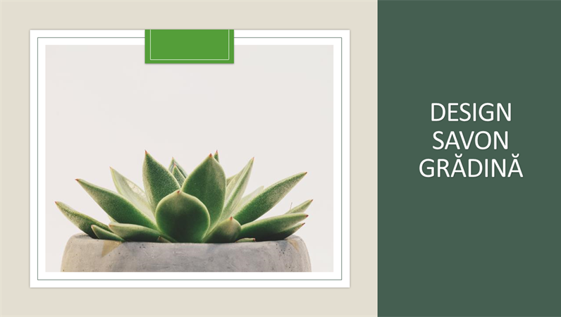 Design Savon grădină Design Savon grădină