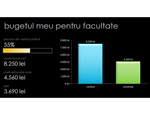 Bugetul meu pentru facultate Bugetul meu pentru facultate