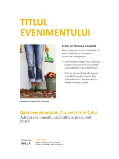 Fluturaș pentru firme mici (proiect auriu) Fluturaș pentru firme mici (proiect auriu)