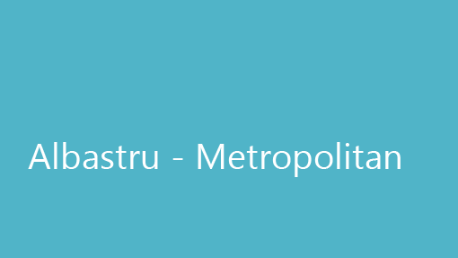 Metropolitan Metropolitan