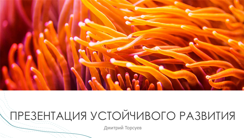 Презентация в морском стиле Презентация в морском стиле