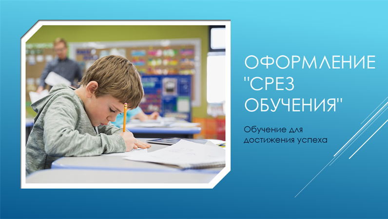 Оформление «Изучение среза» Оформление «Изучение среза»