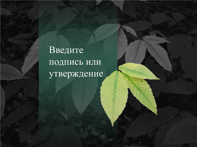 Изображение с удаленным фоном Изображение с удаленным фоном
