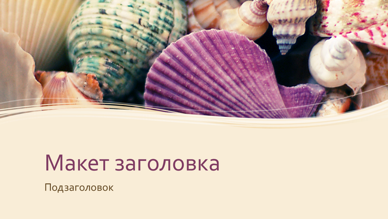 Пестрые ракушки Пестрые ракушки