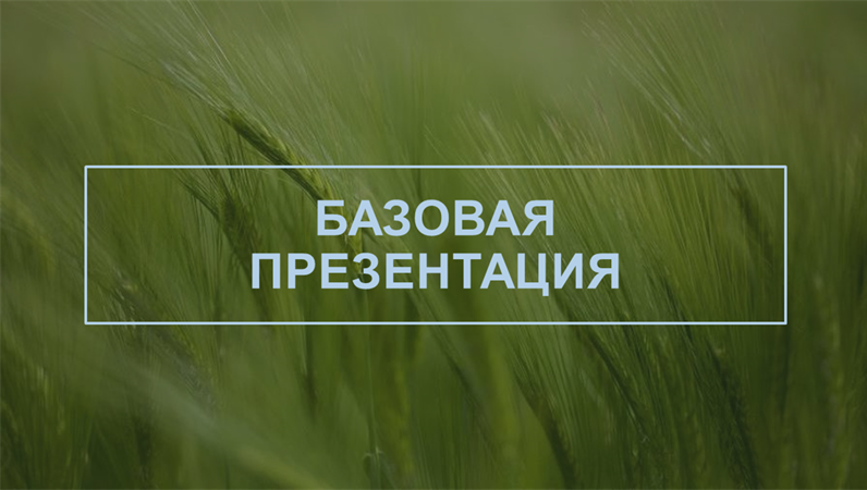 Зеленая презентация Зеленая презентация