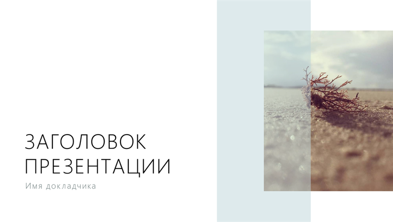Презентация (изображение побережья) Презентация (изображение побережья)