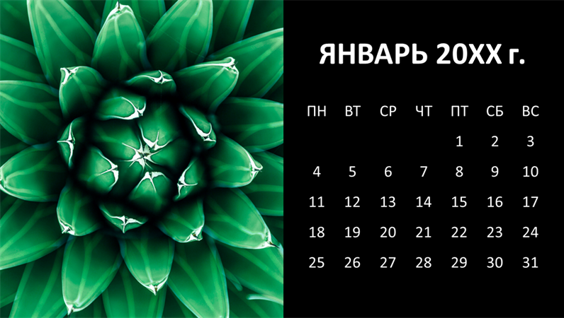 Ежемесячный календарь с сочными растениями Ежемесячный календарь с сочными растениями