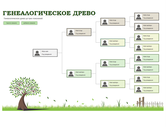 Генеалогическое древо с фотографиями Генеалогическое древо с фотографиями