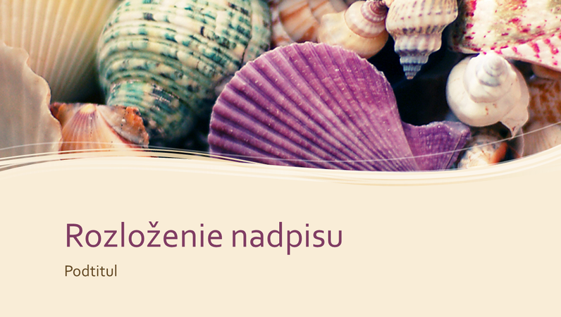 Kolekcia pestrofarebných morských mušlí Kolekcia pestrofarebných morských mušlí