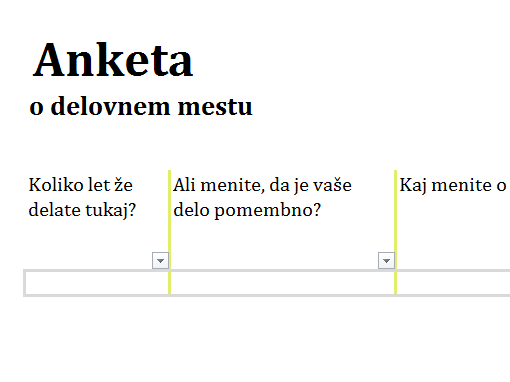 Anketa o delovnem mestu Anketa o delovnem mestu