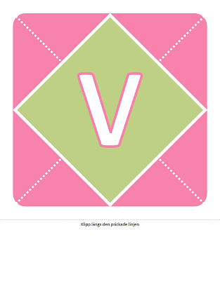 Välkommen tjejen-banderoll (rosa, lila och grönt) Välkommen tjejen-banderoll (rosa, lila och grönt)