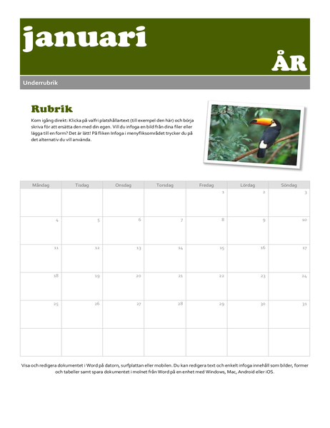 Kalender för ögonblicksbild Kalender för ögonblicksbild
