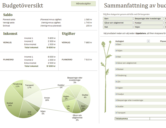 Familjebudget (per månad) Familjebudget (per månad)