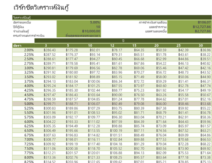 เวิร์กชีตวิเคราะห์เงินกู้ เวิร์กชีตวิเคราะห์เงินกู้