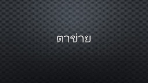 ตาข่ายสีเข้ม 1 ตาข่ายสีเข้ม 1