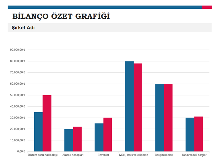 Bütçe özet raporu Bütçe özet raporu