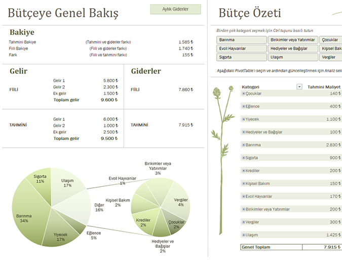 Aile bütçesi (aylık) Aile bütçesi (aylık)