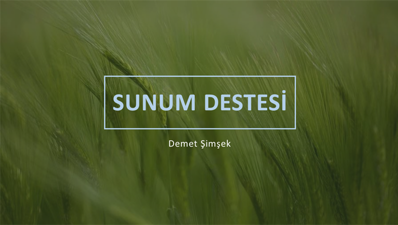 Yeşil sunum destesi Yeşil sunum destesi