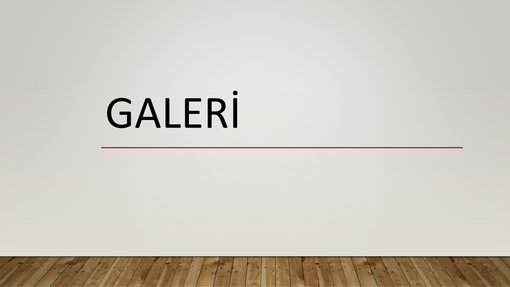 Galeri Galeri