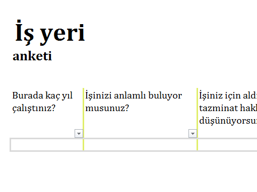 İş yeri anketi
