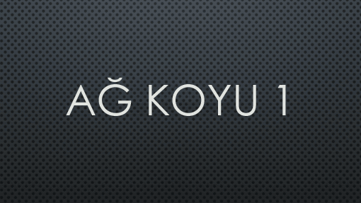Ağ Koyu 1