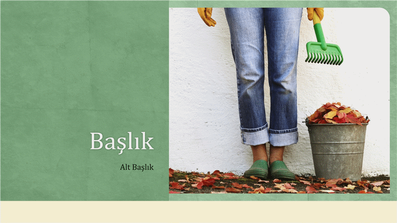 Doğal yaşam sunusu (geniş ekran) Doğal yaşam sunusu (geniş ekran)