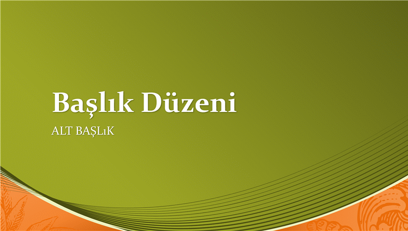 Banknot tasarımı (geniş ekran) Banknot tasarımı (geniş ekran)