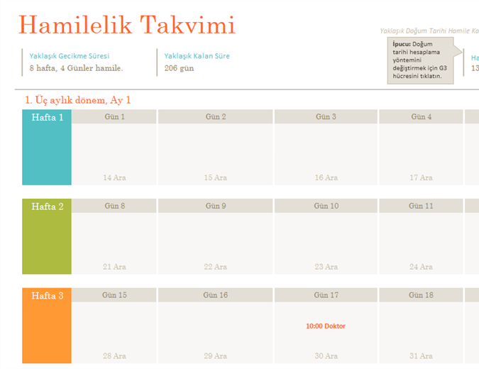 Hamilelik Takvimi 29