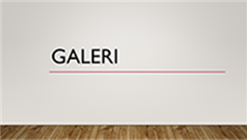 Galeri Galeri