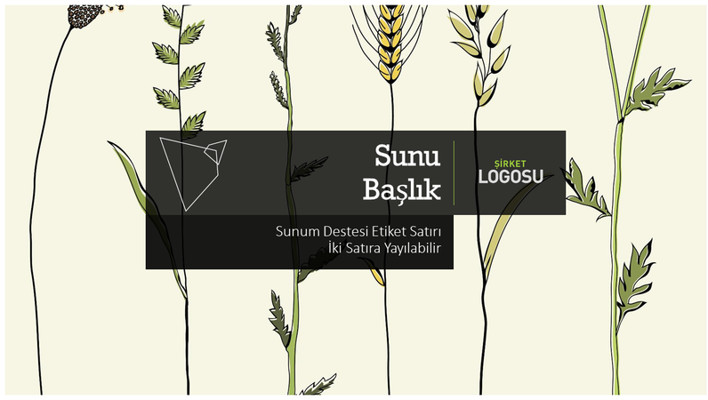 Sunum destesi Sunum destesi
