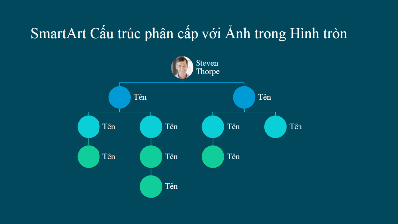 Bản chiếu Sơ đồ Tổ chức Phân cấp Có ảnh Hình tròn (màu trắng trên nền xanh), màn hình rộng Bản chiếu Sơ đồ Tổ chức Phân cấp Có ảnh Hình tròn (màu trắng trên nền xanh), màn hình rộng