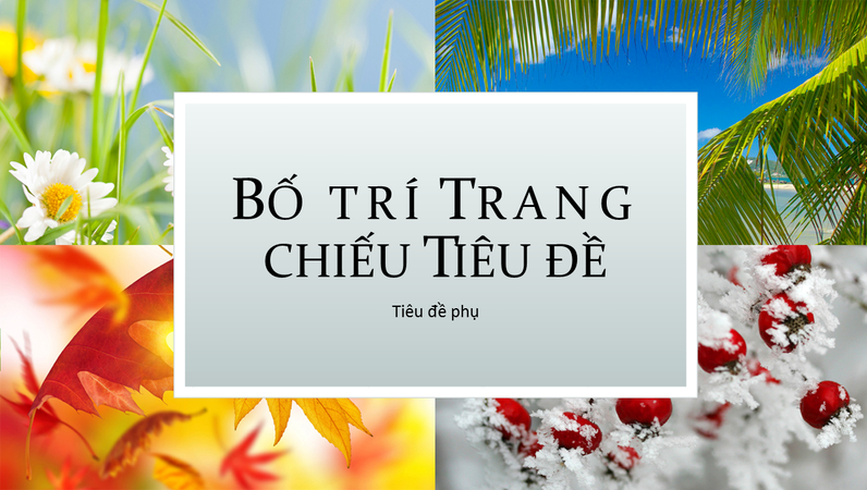 Bản trình bày các lễ hội theo mùa Bản trình bày các lễ hội theo mùa