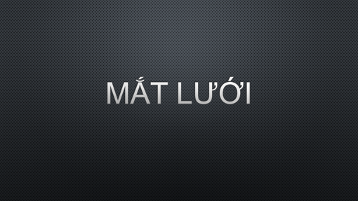 Mắt lưới Sẫm 1 Mắt lưới Sẫm 1