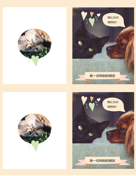 小猫小狗日常卡 小猫小狗日常卡
