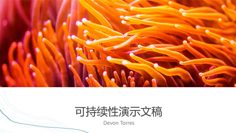 海洋图案演示文稿 海洋图案演示文稿