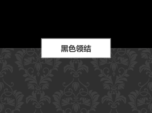 黑色领结 黑色领结