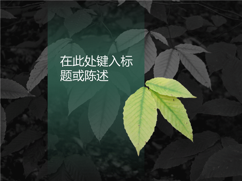 删除了背景的图片 删除了背景的图片