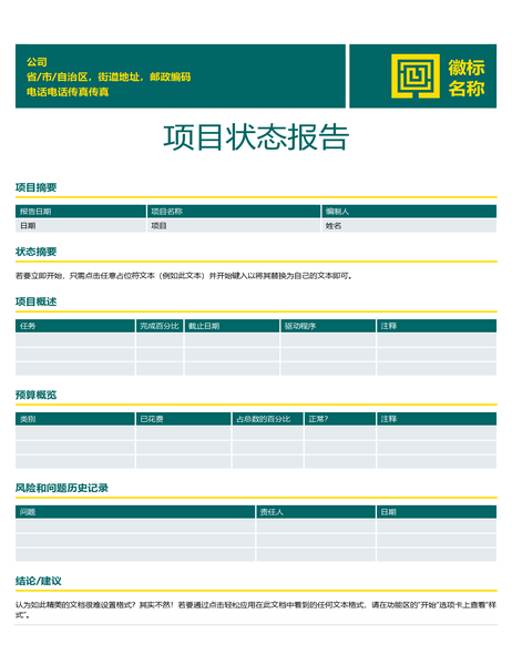 项目状态报告