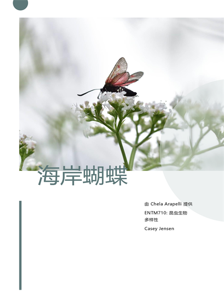 学生报告 学生报告